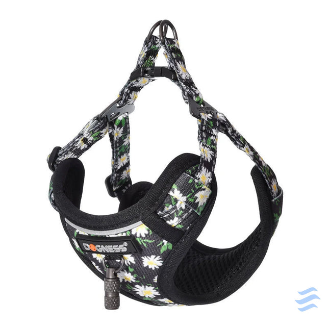 Dogness walking set leash 1,5m + harness for dog (multicolor) Walking and transportation