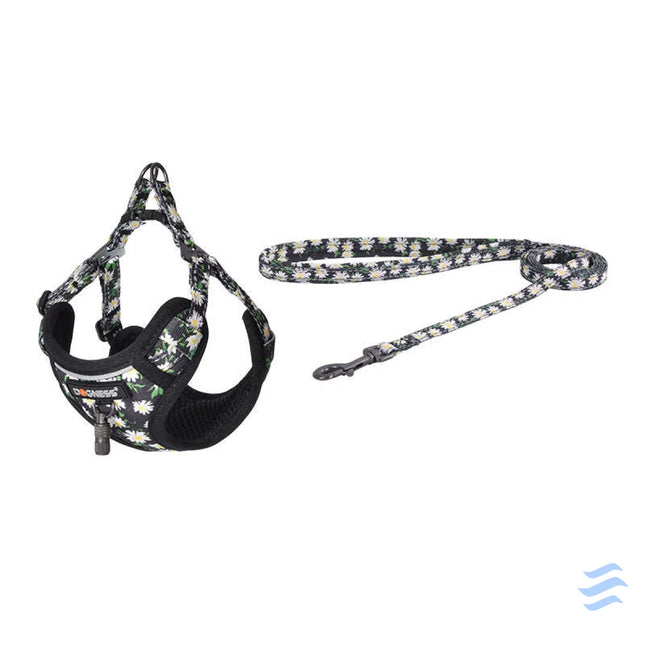 Dogness walking set leash 1,5m + harness for dog (multicolor) Walking and transportation