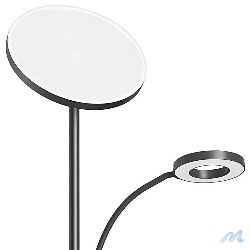 Double Floor Lamp with remote BlitzWill BWL-FL-0001, 36W (black)