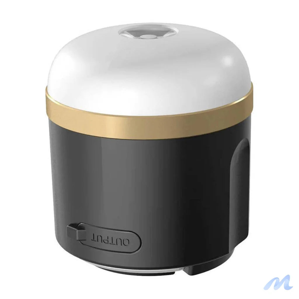 EcoFlow camping light