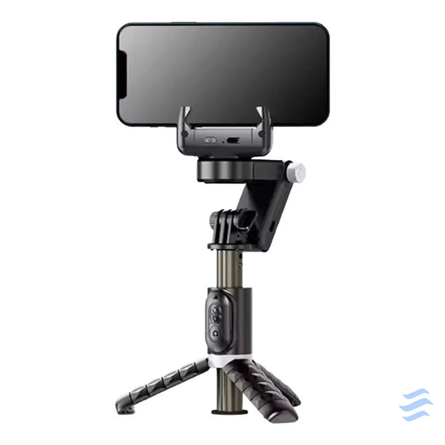 Gimbal/stand with light APEXEL Q18 (black) Tripods and ring lights