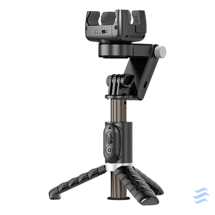Gimbal/stand with light APEXEL Q18 (black) Tripods and ring lights