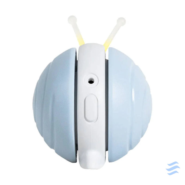 Interactive Cat Toy Cheerble Wicked Snail (blue) Toys