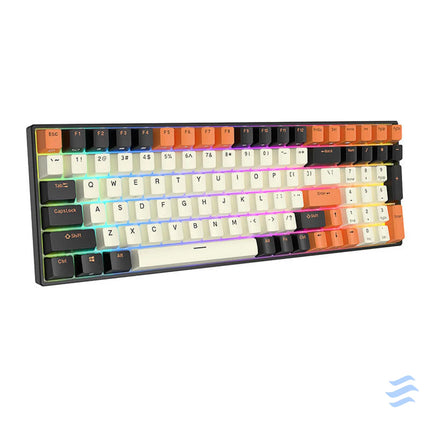 Mechanical keyboard Royal Kludge RK100 RGB brown switch (black orange) Wired