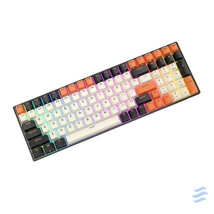 Mechanical keyboard Royal Kludge RK100 RGB brown switch (black orange) Wired