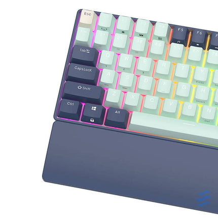 Mechanical keyboard Royal Kludge RK96 RGB brown switch (blue) Wired