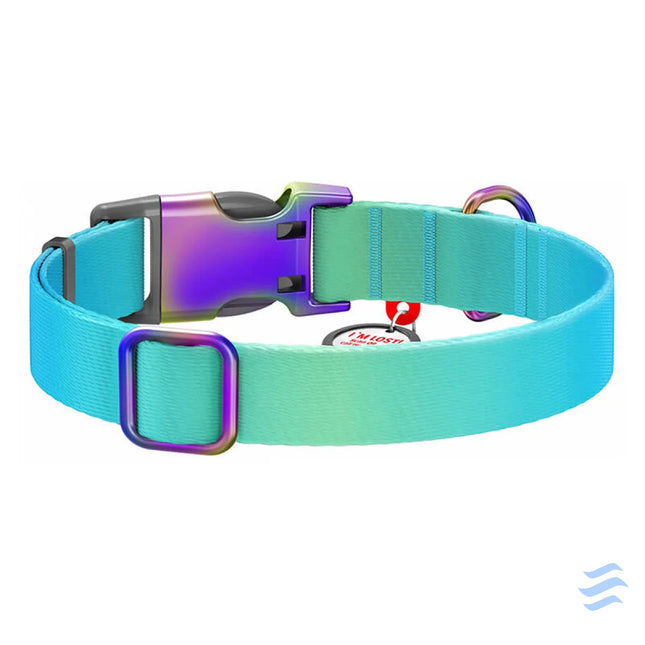 Nylon dog collar with QR code WAUDOG 15 mm wide 25 35 cm long blue Walking and transportation