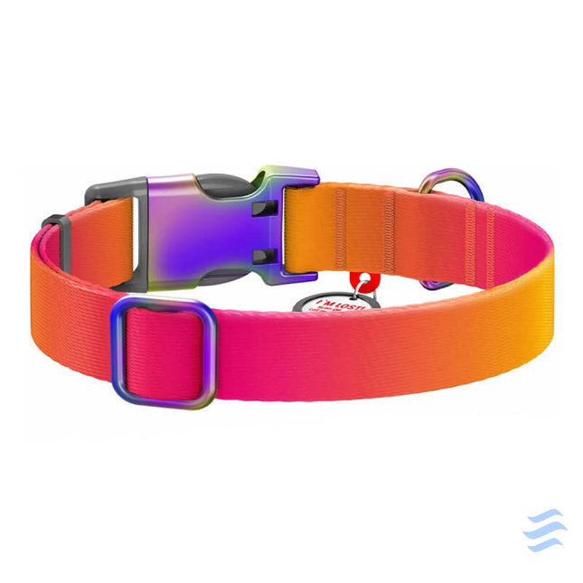 Nylon dog collar with QR code WAUDOG 15 mm wide 25 35 cm long orange Walking and transportation