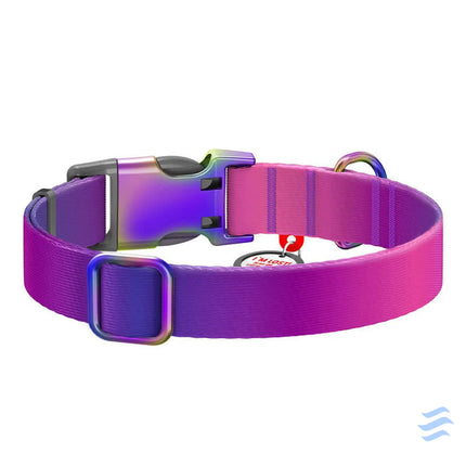 Nylon dog collar with QR code WAUDOG 15 mm wide 25 35 cm long purple Walking and transportation
