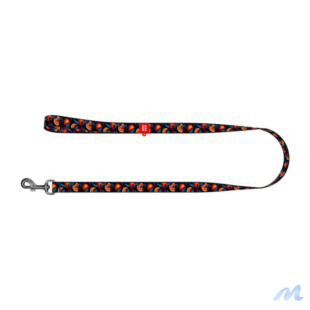 Nylon dog leash, pattern ''Oranges'' length 122 cm Waudog