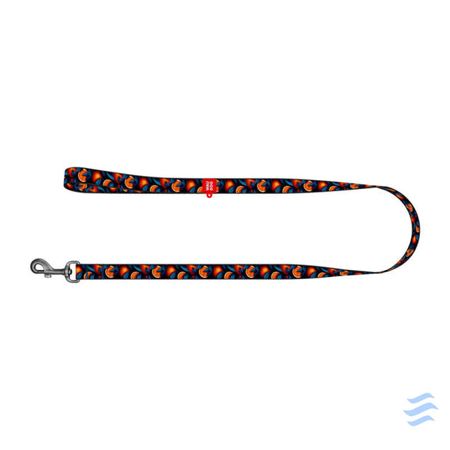 Nylon dog leash pattern ’’Oranges’’ length 122 cm Waudog Walking and transportation