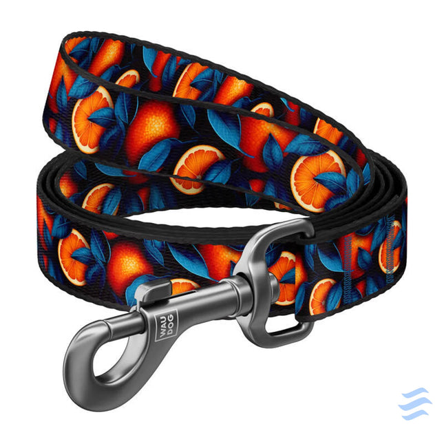 Nylon dog leash pattern ’’Oranges’’ length 122 cm Waudog Walking and transportation