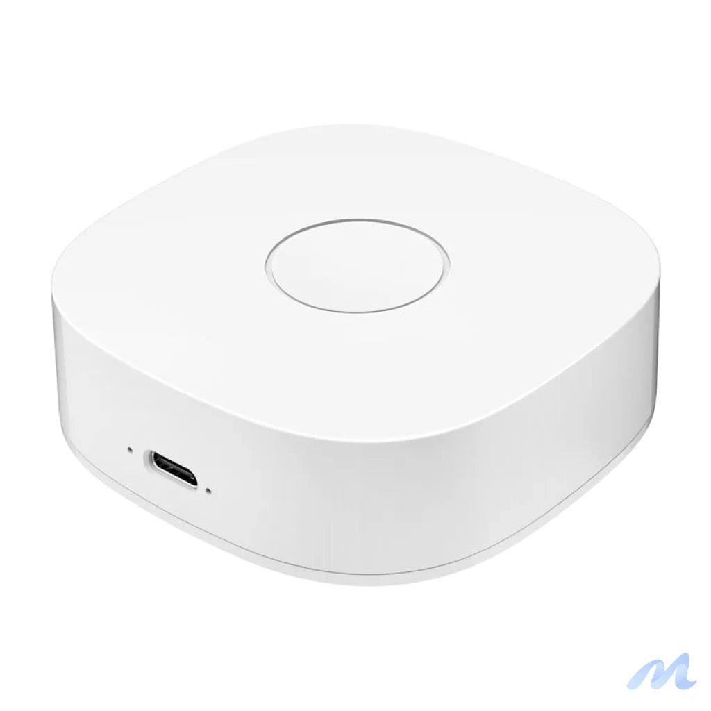 Smart home WS2GW-R WiFi