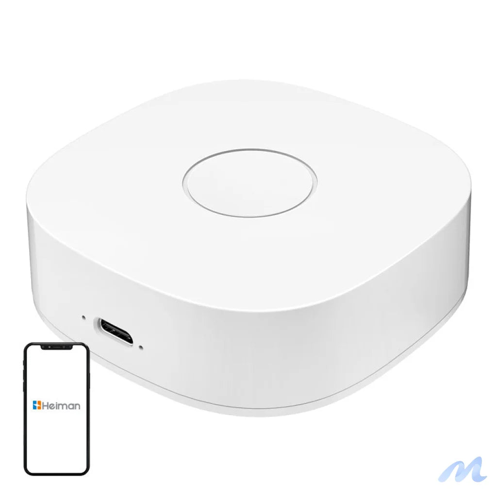 Smart home WS2GW-R WiFi