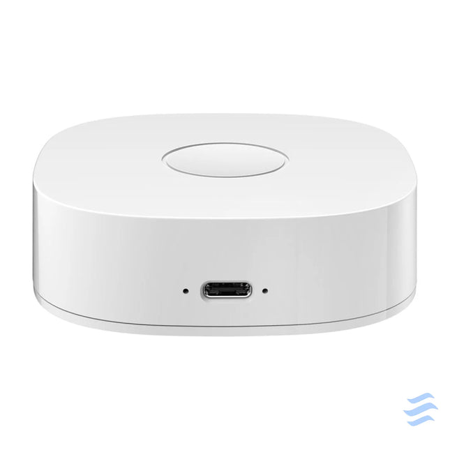 Smart home WS2GW R WiFi Smart Hubs