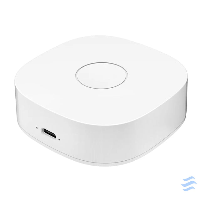 Smart home WS2GW R WiFi Smart Hubs