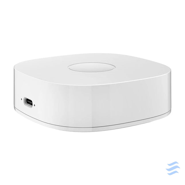 Smart home WS2GW R WiFi Smart Hubs