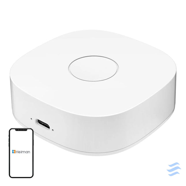 Smart home WS2GW R WiFi Smart Hubs