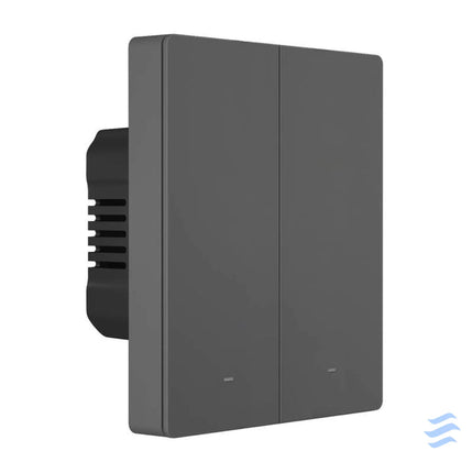 Smart WiFi wall switch SONOFF M5 2C 80 (2 channel for frame graphite) Switches