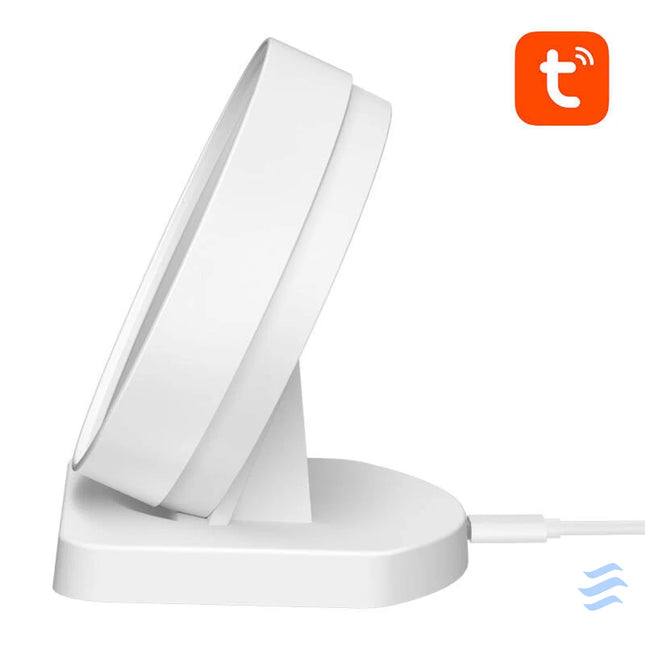 Temperature and humidity sensor Avatto WHS20 Tuya Sensors