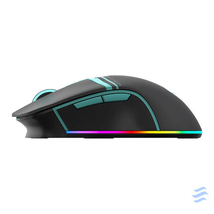 Thunderobot Dual Modes Gaming mouse ML703 (black) Wireless