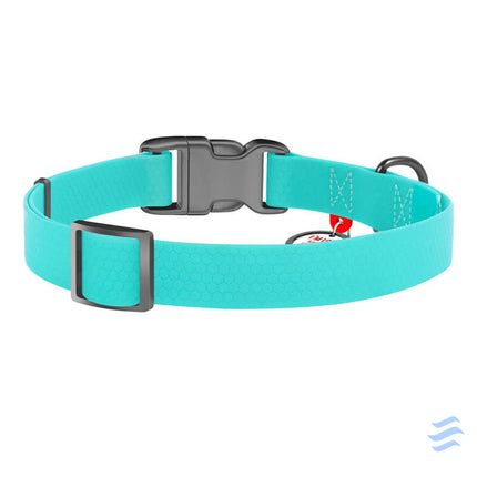 Waterproof glowing dog collar with QR passport WAUDOG 40 mm wide 46 70 cm long Walking and transportation