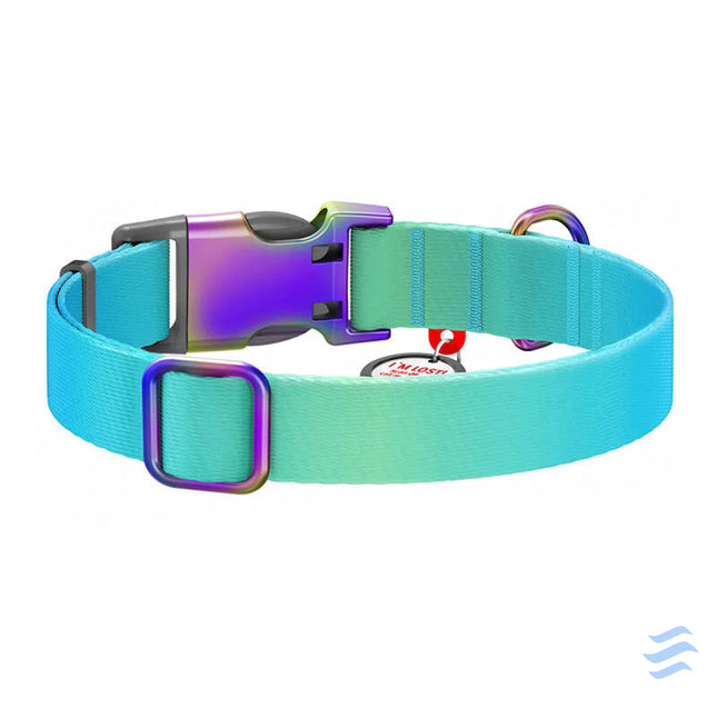 Waudog gradient nylon dog collar with QR code blue size M Walking and transportation