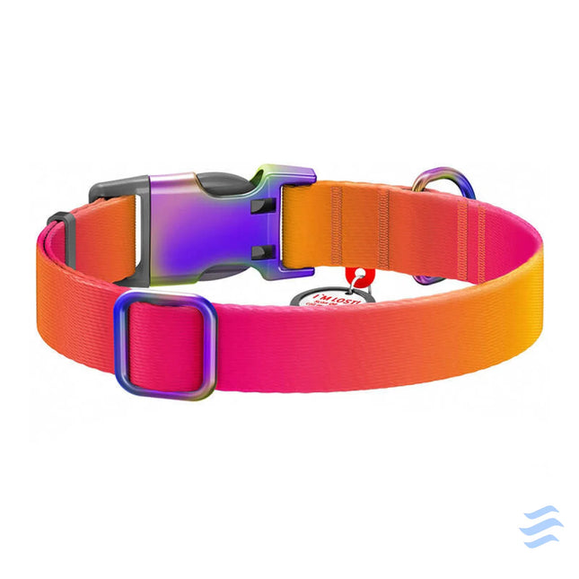 Waudog gradient nylon dog collar with QR code orange size L Walking and transportation