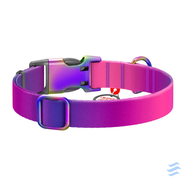 Waudog gradient nylon dog collar with QR code purple size M Walking and transportation