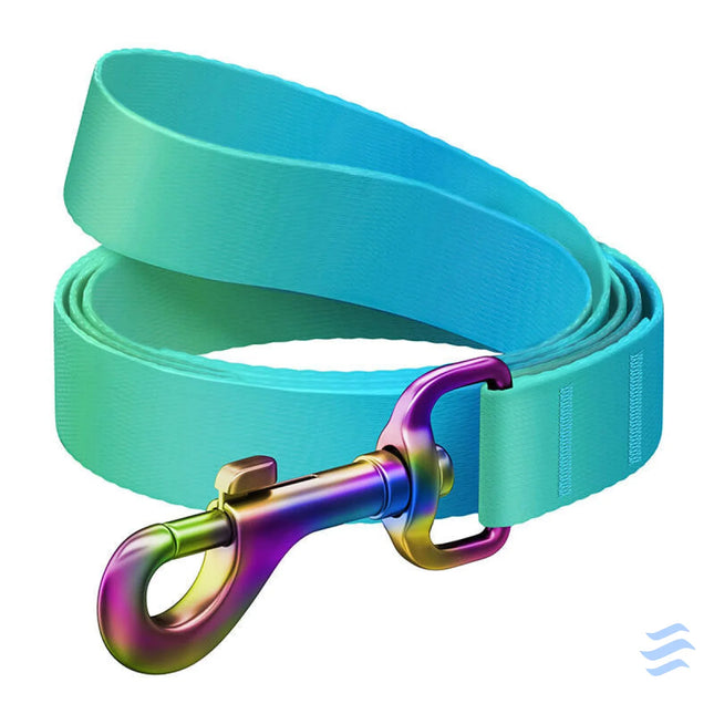 WAUDOG gradient nylon dog leash 15mm wide 122cm long blue Walking and transportation