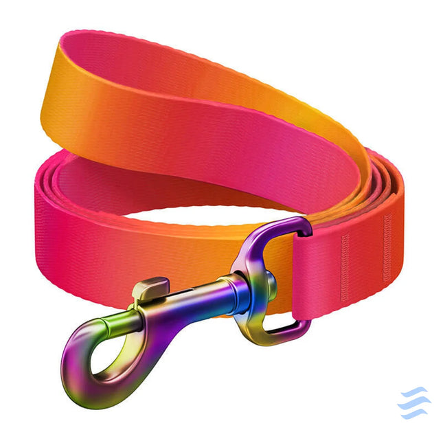 WAUDOG gradient nylon dog leash 15mm wide 122cm long orange Walking and transportation
