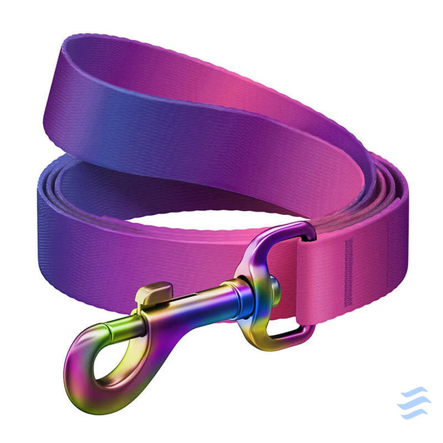 WAUDOG gradient nylon dog leash 15mm wide 122cm long purple Walking and transportation