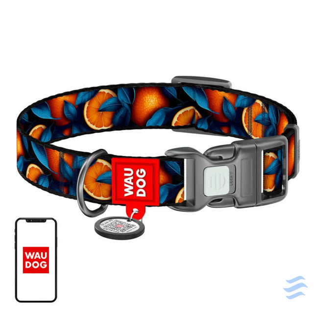 Waudog ’Oranges’ nylon dog collar with QR code size L Walking and transportation