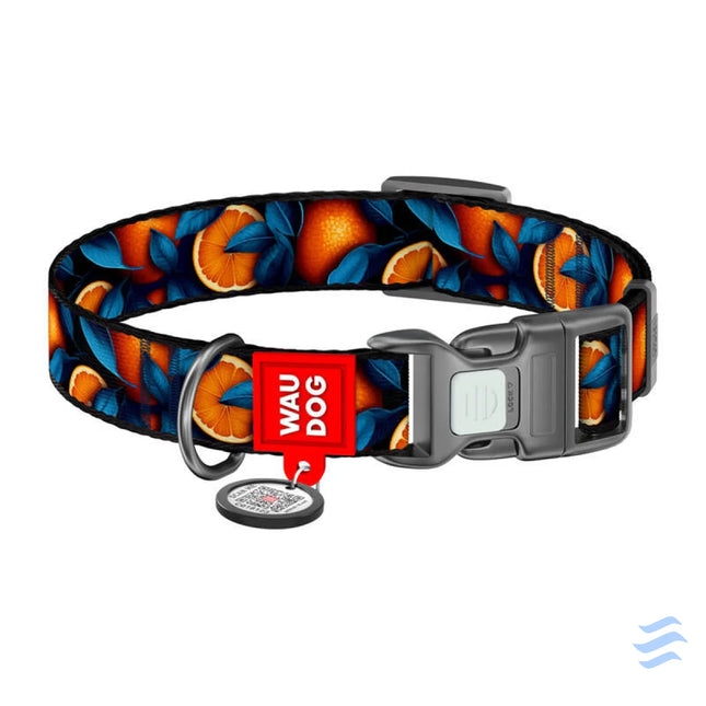 Waudog ’Oranges’ nylon dog collar with QR code size S Walking and transportation