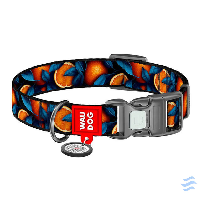Waudog ’Oranges’ nylon dog collar with QR code size XL Walking and transportation