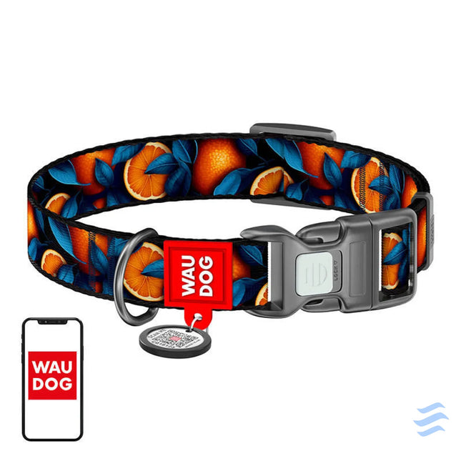 Waudog ’Oranges’ nylon dog collar with QR code size XL Walking and transportation