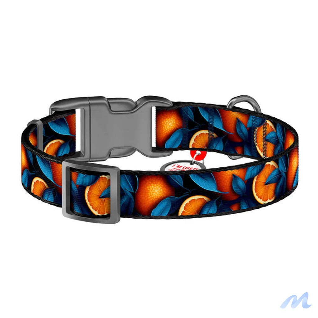 Waudog "Oranges" nylon dog collar with QR code, size XL