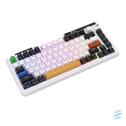 Wireless mechanical keyboard Royal Kludge KZZI K75 pro RGB Moment Switch (black and white) Wireless