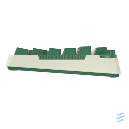 Wireless mechanical keyboard Royal Kludge RKH81 RGB Sky cyan switch (green) Wireless