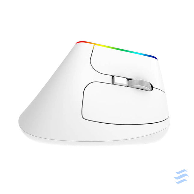 Wireless Vertical Mouse Delux M618C 2.4G 1600DPI RGB (white) Vertical mice