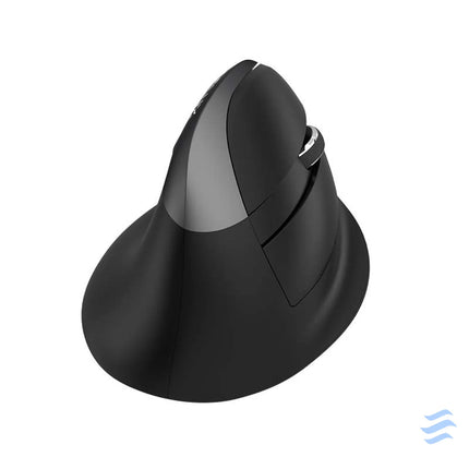 Wireless Vertical Mouse Delux M618Mini BT + 2.4G RGB 4000DPI (Iron Gray) Vertical mice